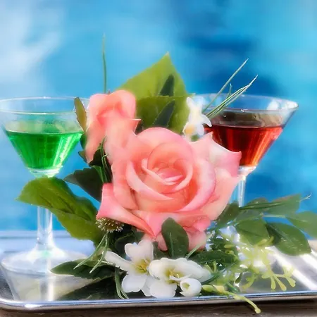 Hotel Club (adults Only) 4*